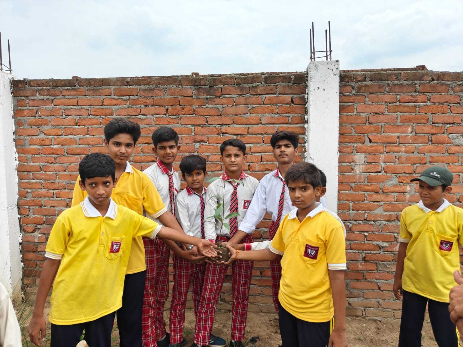 Children placing their hands on a sapling during a plantation drive